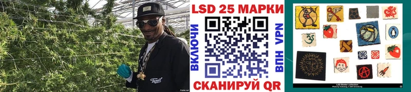 Наркотические марки 1,8мг  мега ONION  Нерюнгри  где купить  